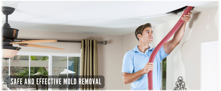 Air Duct Mold Removal in Crystal Lake IL